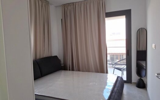 Brand new one bedroom apartment furnished apartment
