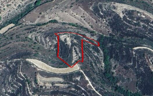 plot is located in the village of Pachna
