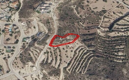 Field located in the Palodia