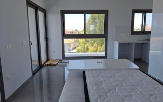 Brand new 3 bedroom penthouse with roof garden