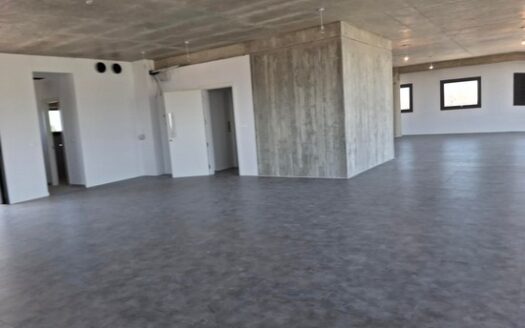 Brand new modern office 236m2